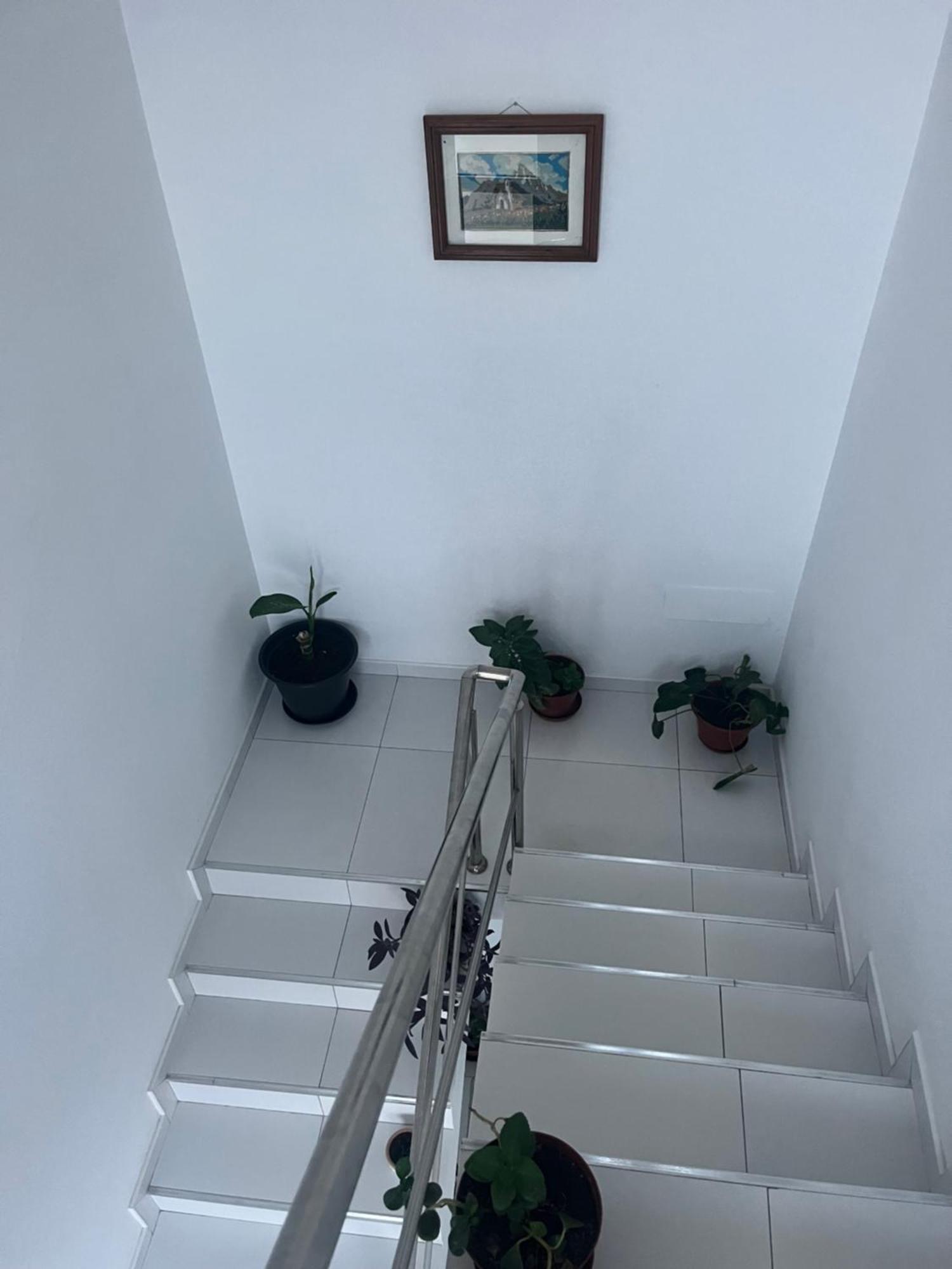 Apartament Oasis De Retour Ponta Do Sol Zewnętrze zdjęcie