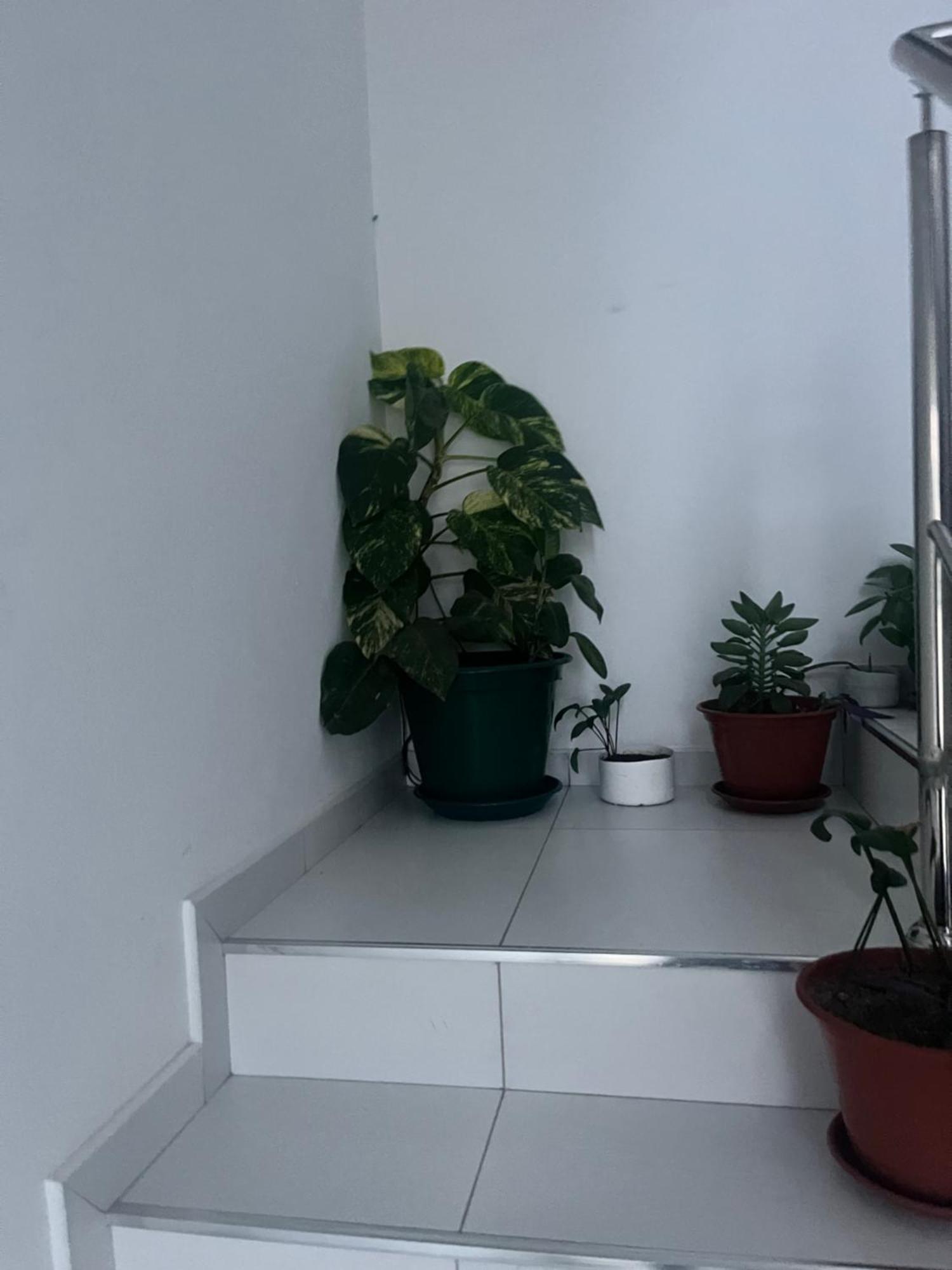 Apartament Oasis De Retour Ponta Do Sol Zewnętrze zdjęcie
